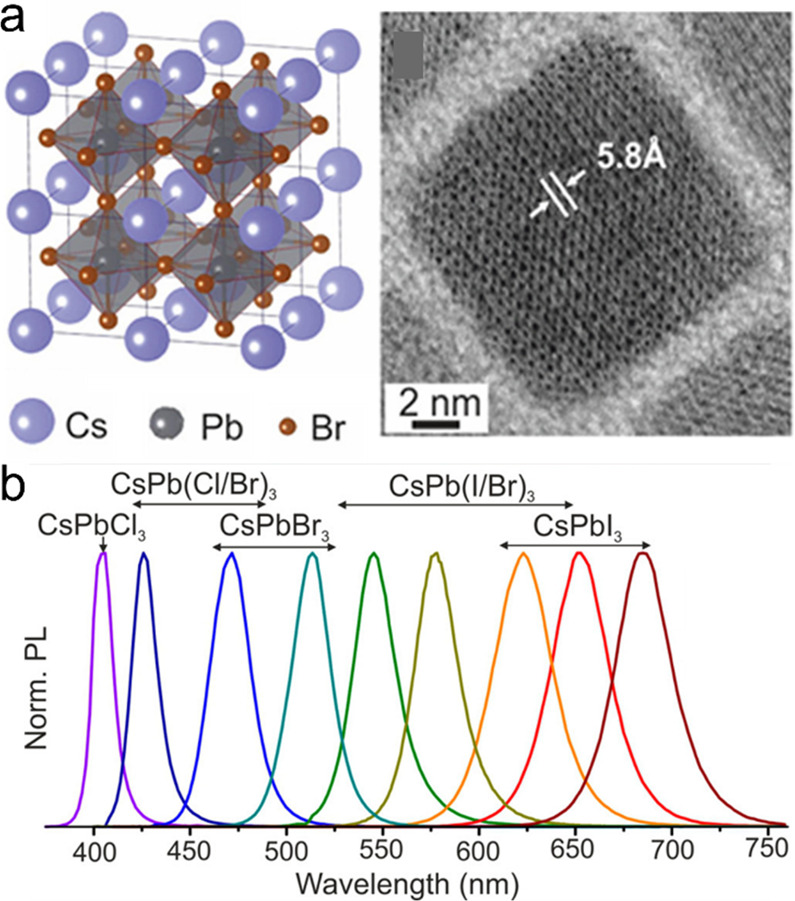 Figure 25