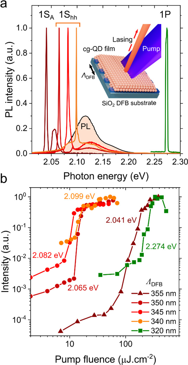 Figure 19