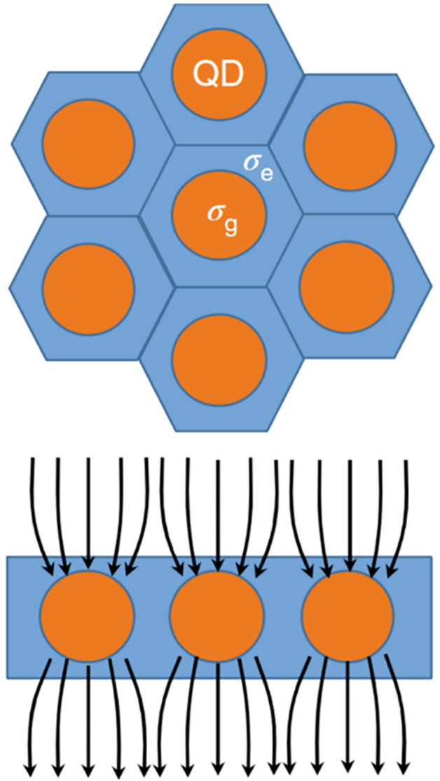 Figure 31