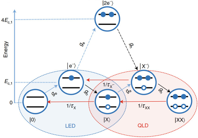 Figure 30