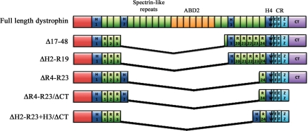 Figure 1.