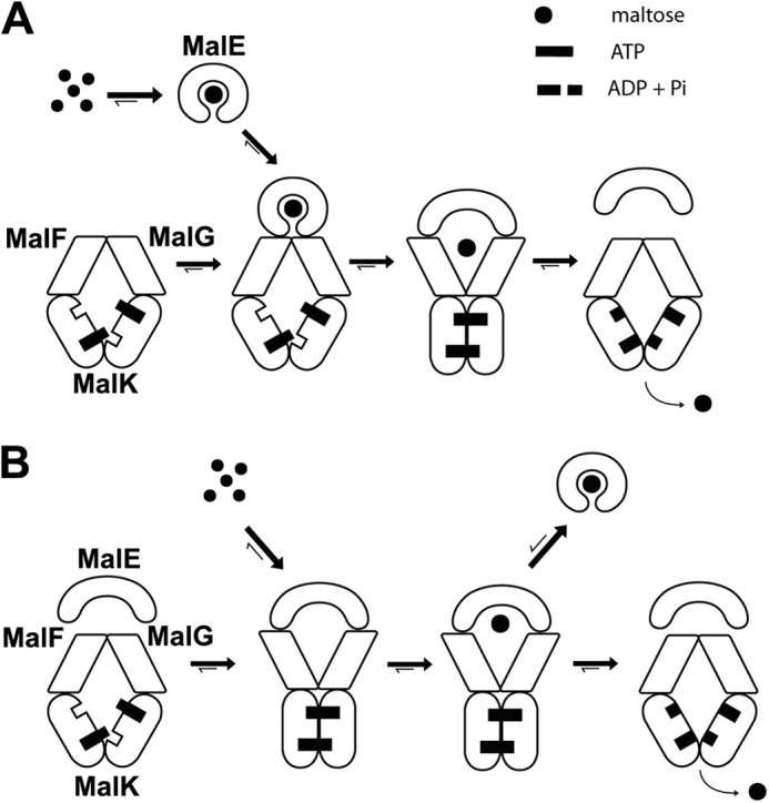 FIGURE 1.