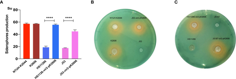 Figure 3