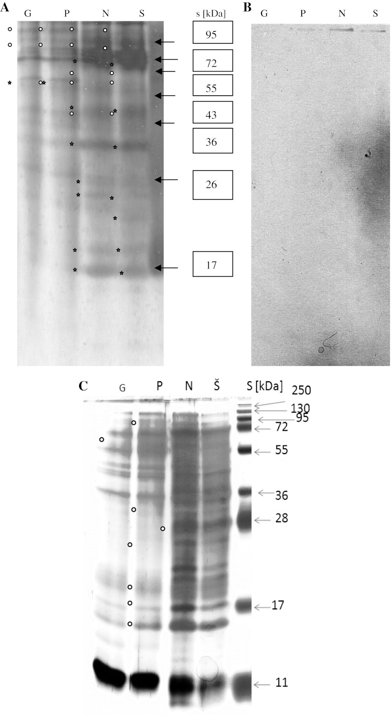 Fig. 4