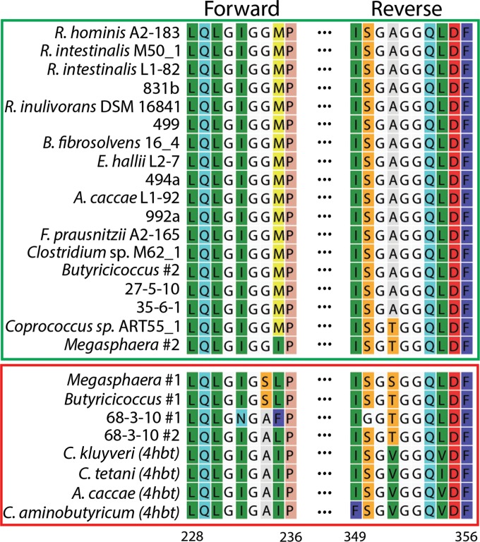 FIG 1