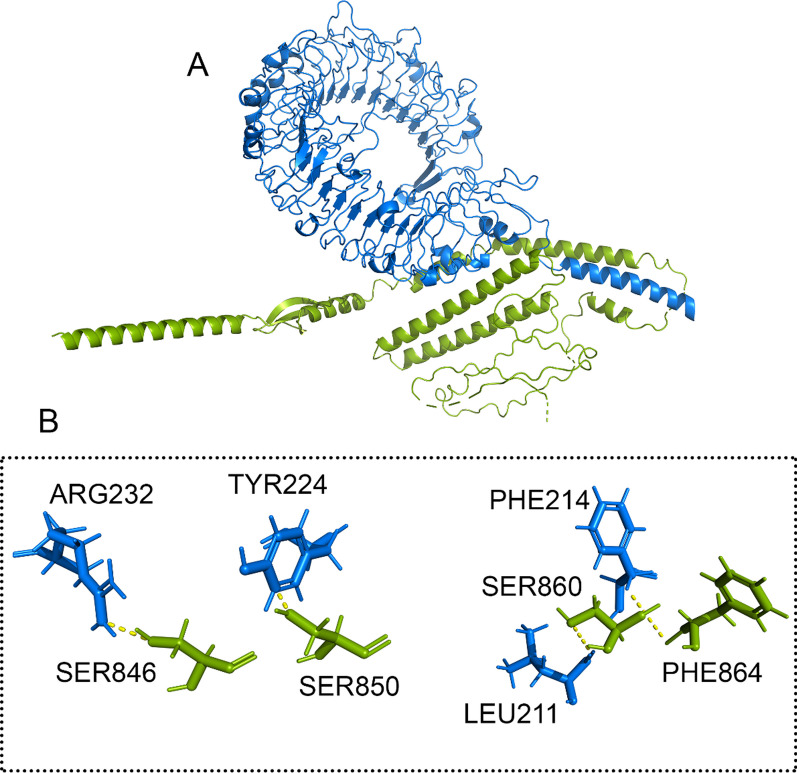 Fig. 6