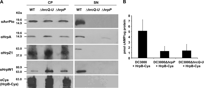 FIG. 7.