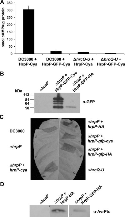 FIG. 6.