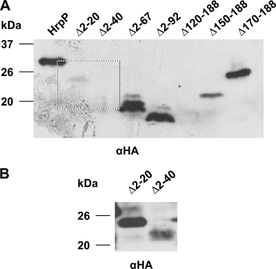 FIG. 4.