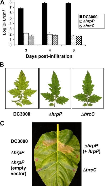 FIG. 1.