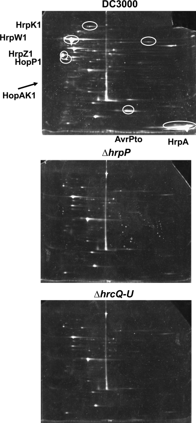 FIG. 8.