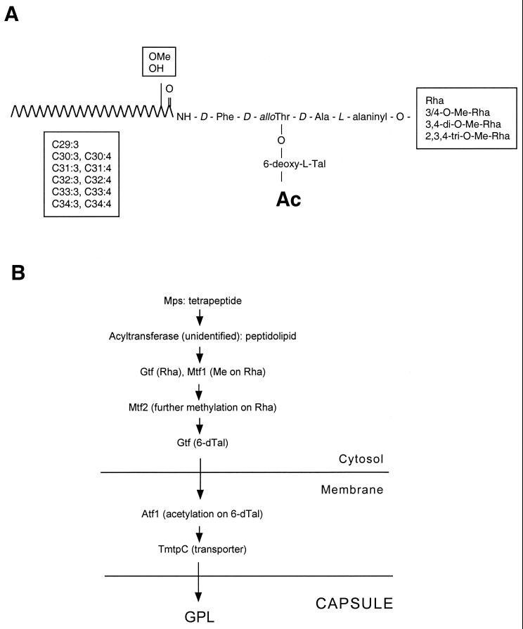 FIG. 7