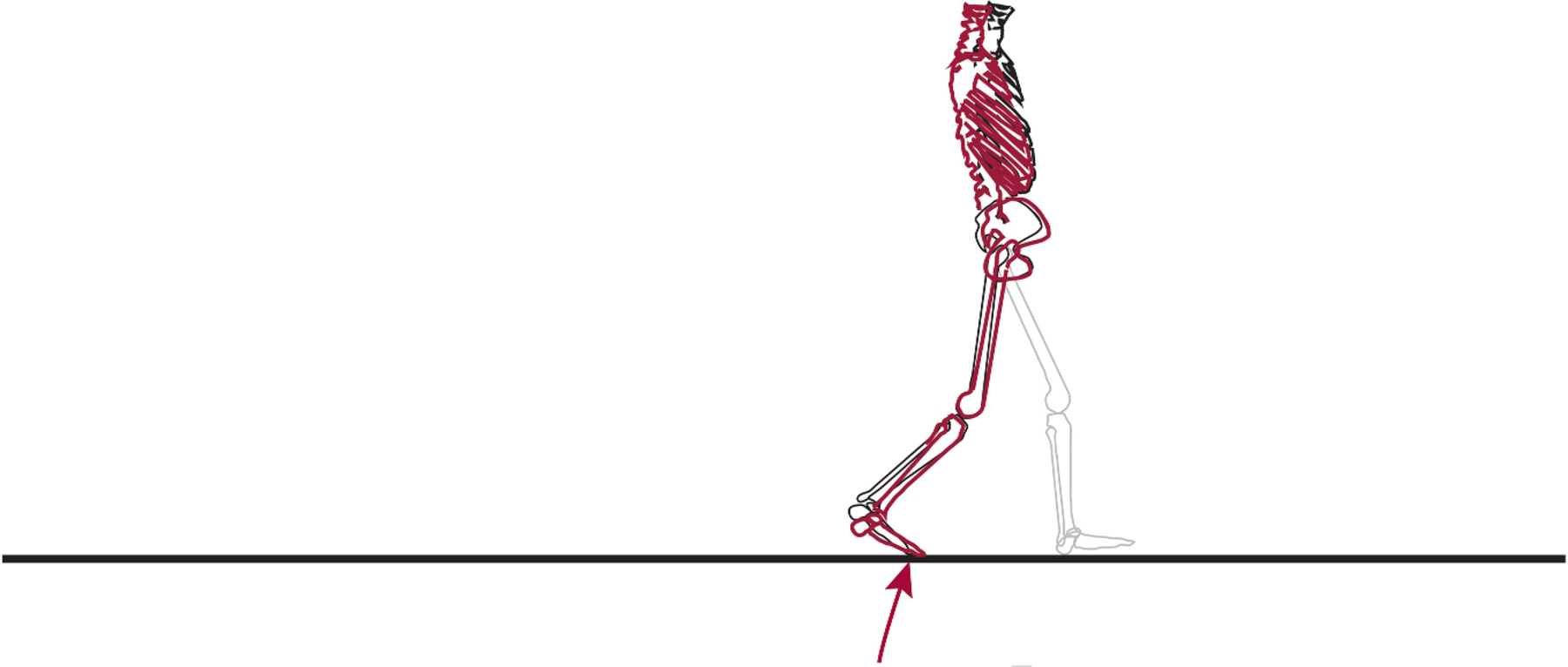 Figure 3 —