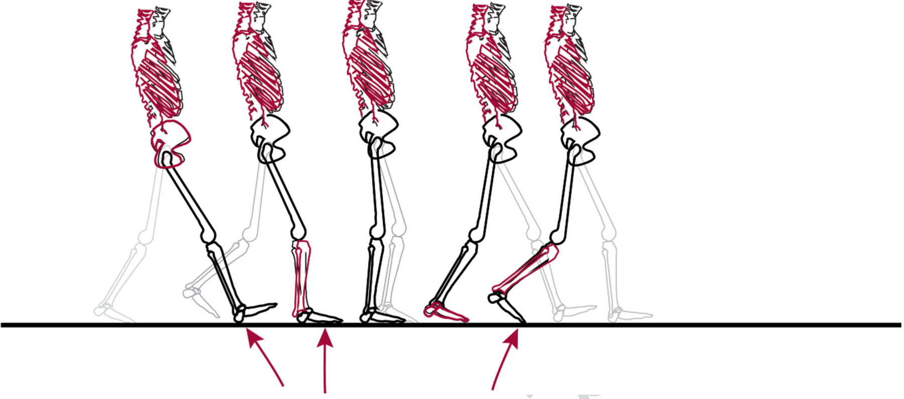Figure 2 —