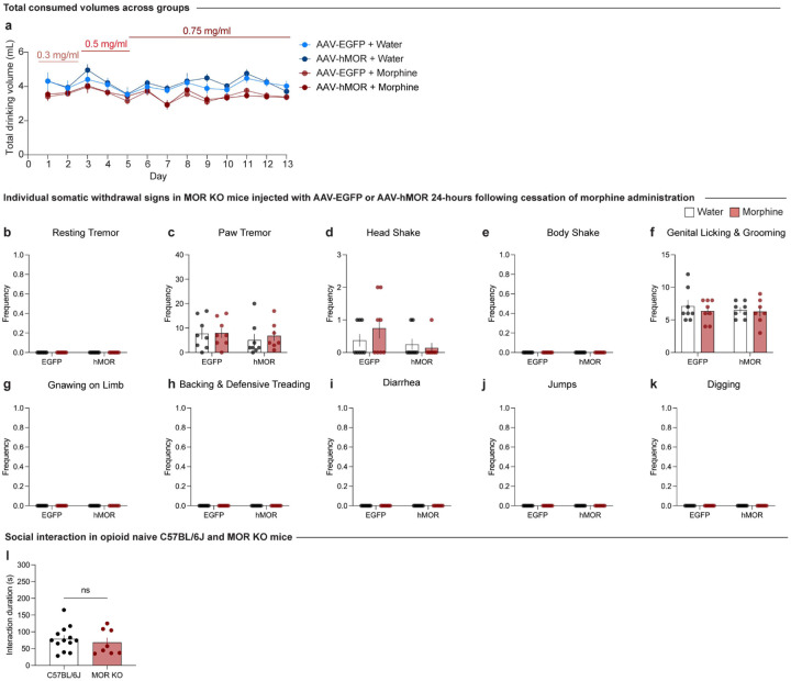 Extended Data Figure 5–1: