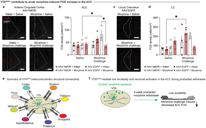 Figure 6: