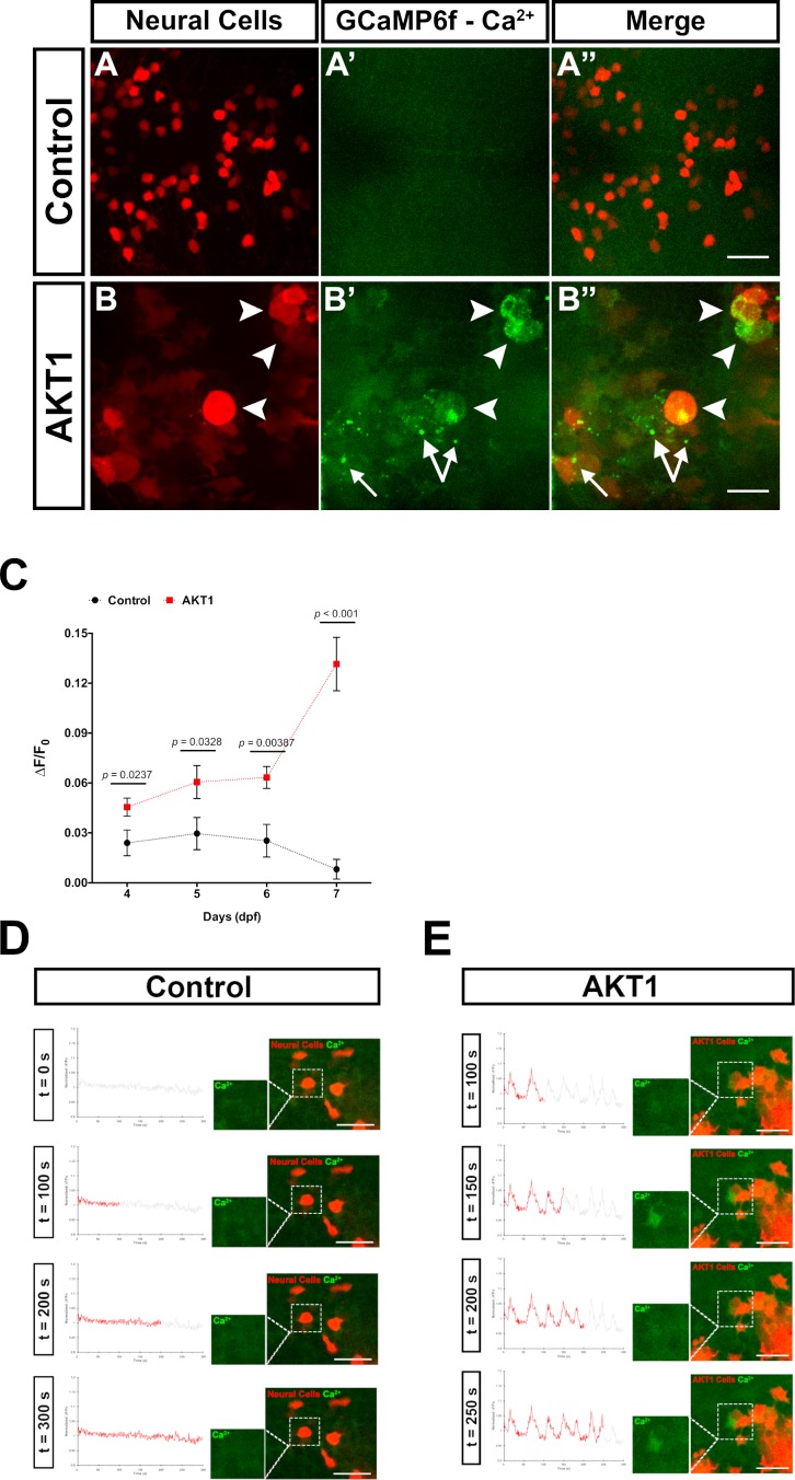 Figure 2.