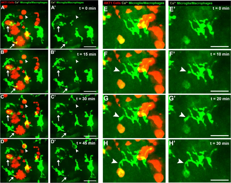 Figure 3.