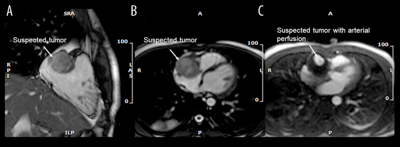 Figure 2.