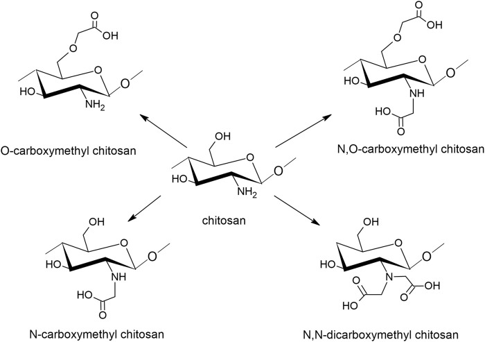 FIGURE 4