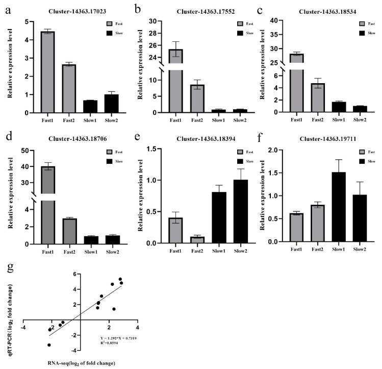 Figure 5