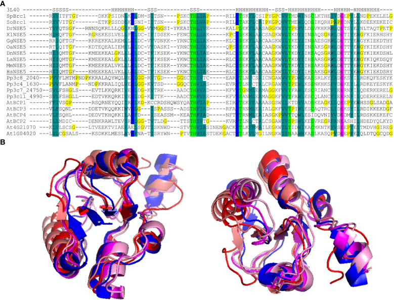 Figure 1