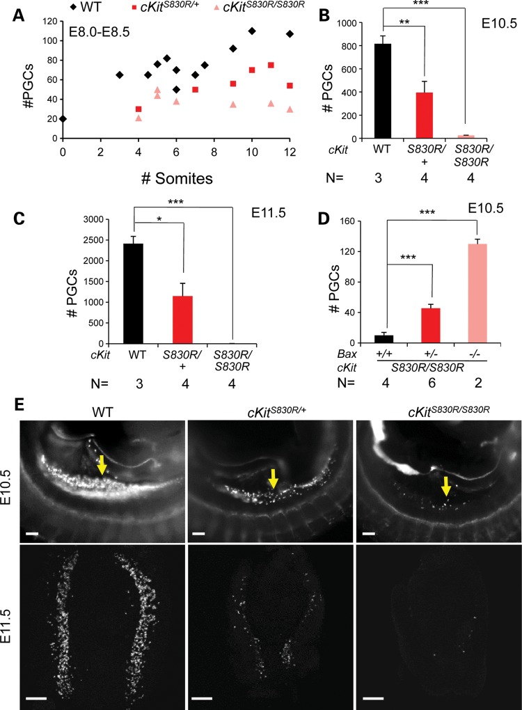 Figure 2.