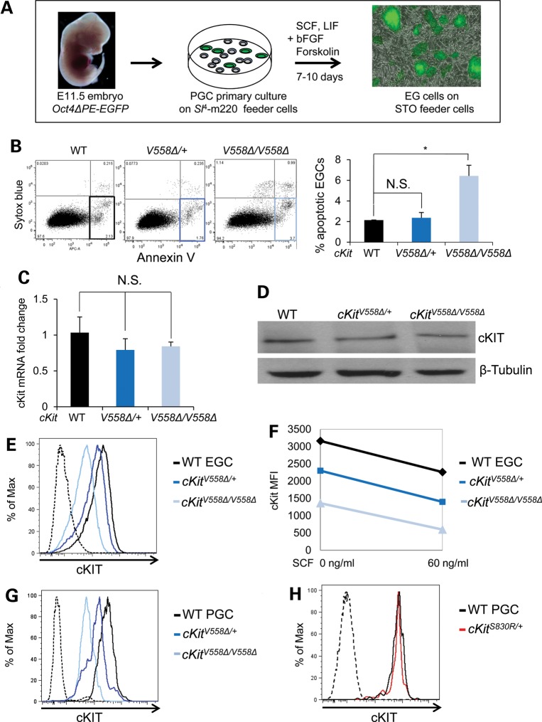 Figure 4.