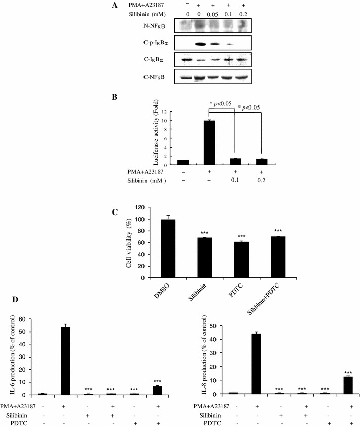 Fig. 7