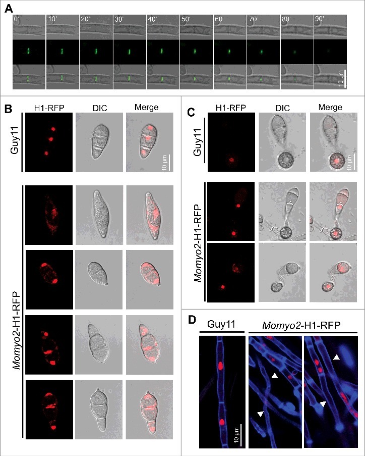 Figure 10.