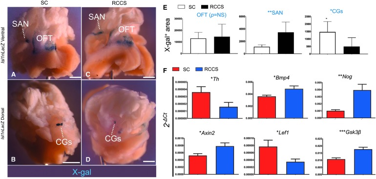 FIG. 6.