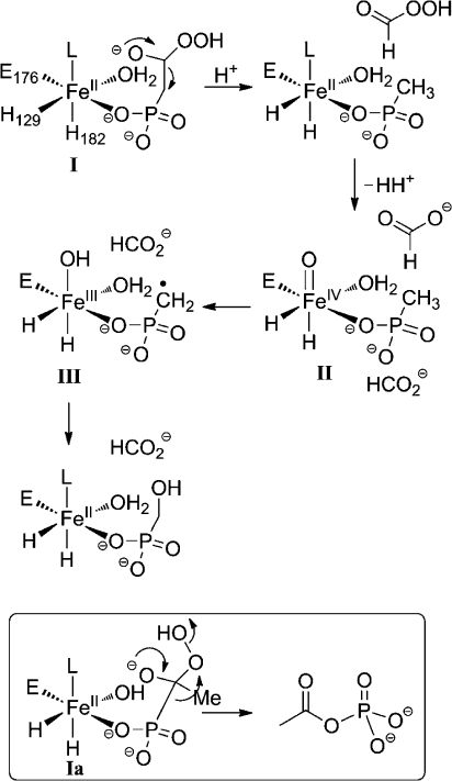 Scheme 3