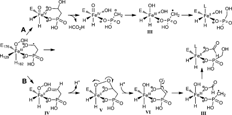 Scheme 5