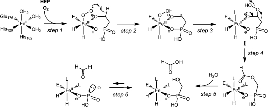 Scheme 2