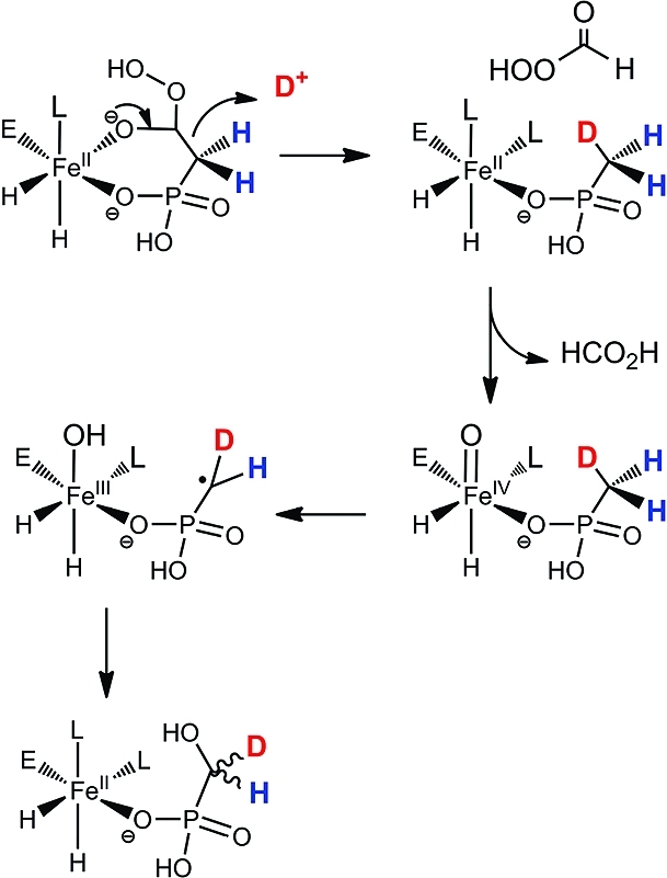 Scheme 4