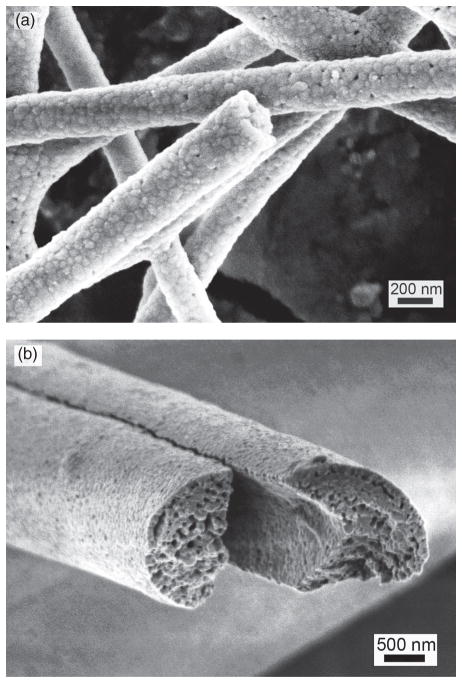 Fig. 5