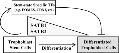 FIGURE 9.