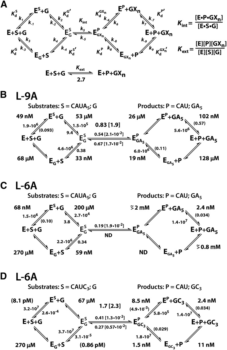 FIGURE 2.