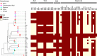 FIG 4