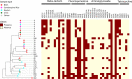FIG 3