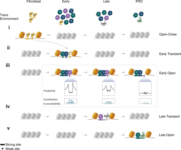 Fig 7: