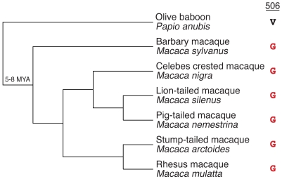 Figure 7