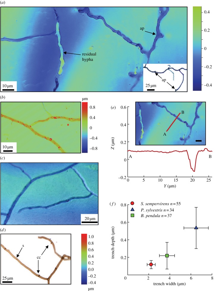 Figure 2.