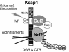 FIG. 8.