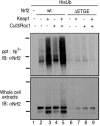 FIG. 7.