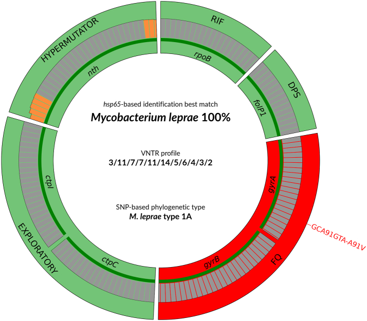 Fig. 1