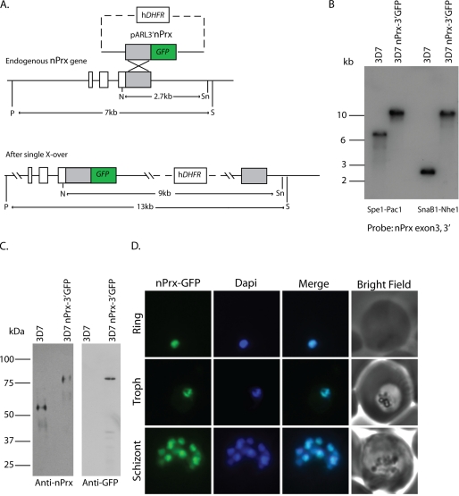 FIGURE 3.