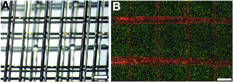 FIG. 4.