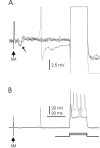 Figure 10.