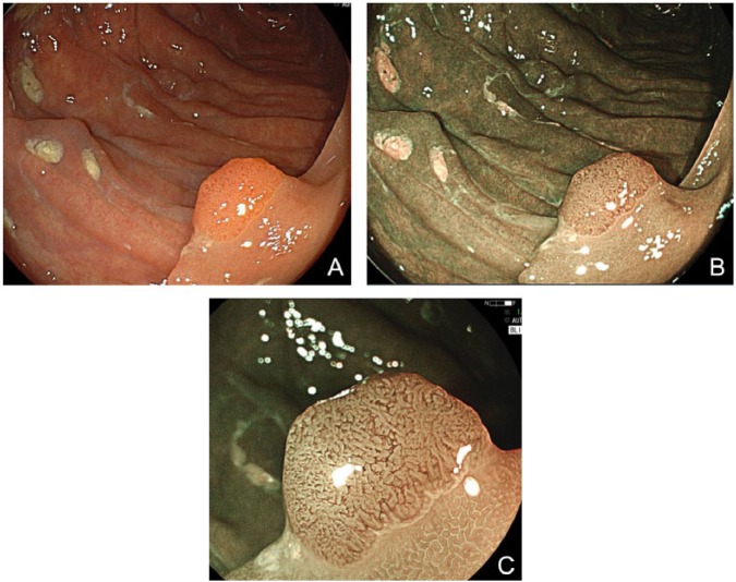 Figure 3.